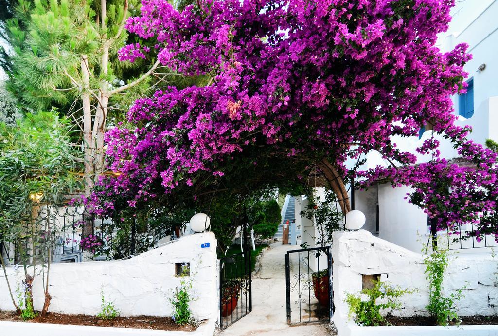 Misket Hotel Bodrum Gümüşlük Extérieur photo